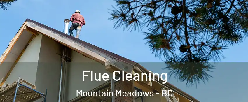  Flue Cleaning Mountain Meadows - BC
