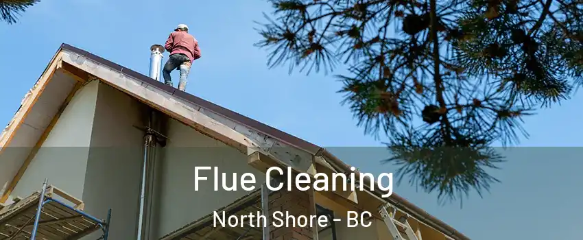 Flue Cleaning North Shore - BC