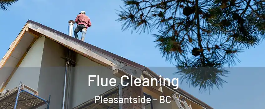 Flue Cleaning Pleasantside - BC
