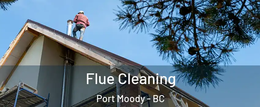  Flue Cleaning Port Moody - BC