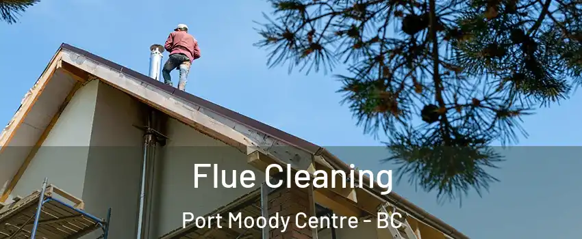  Flue Cleaning Port Moody Centre - BC