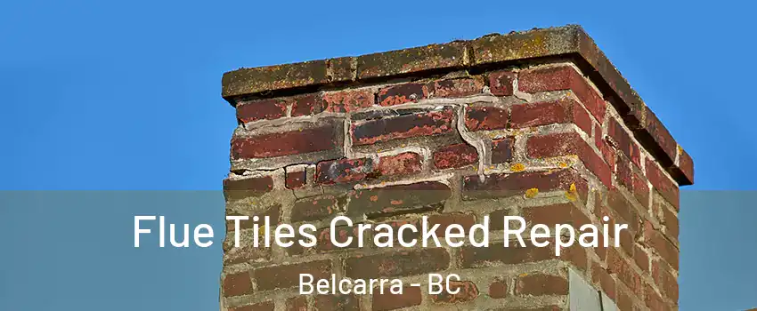  Flue Tiles Cracked Repair Belcarra - BC