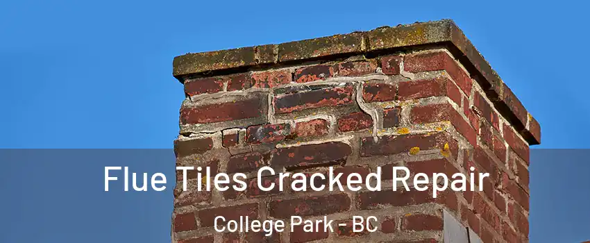  Flue Tiles Cracked Repair College Park - BC