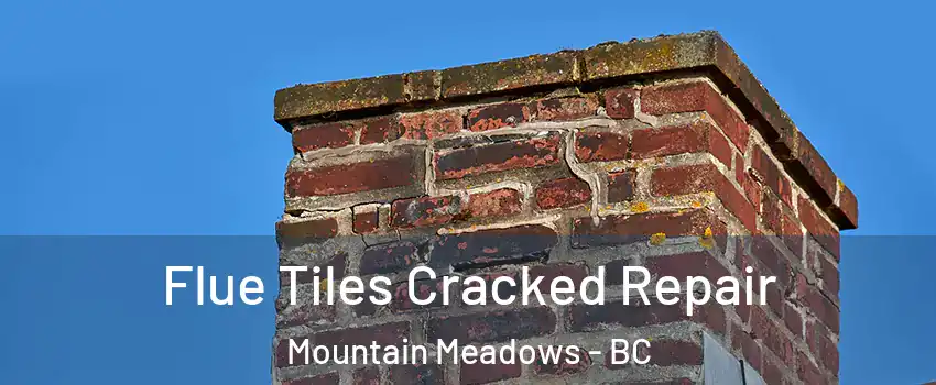  Flue Tiles Cracked Repair Mountain Meadows - BC