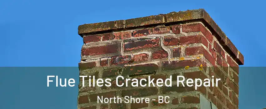  Flue Tiles Cracked Repair North Shore - BC