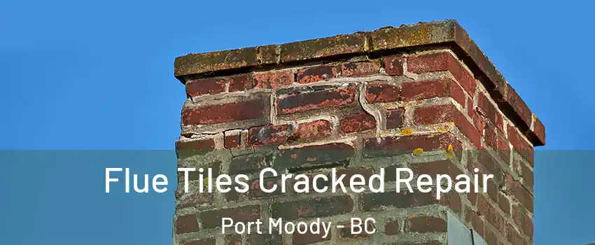  Flue Tiles Cracked Repair Port Moody - BC