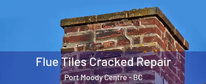 Flue Tiles Cracked Repair Port Moody Centre - BC