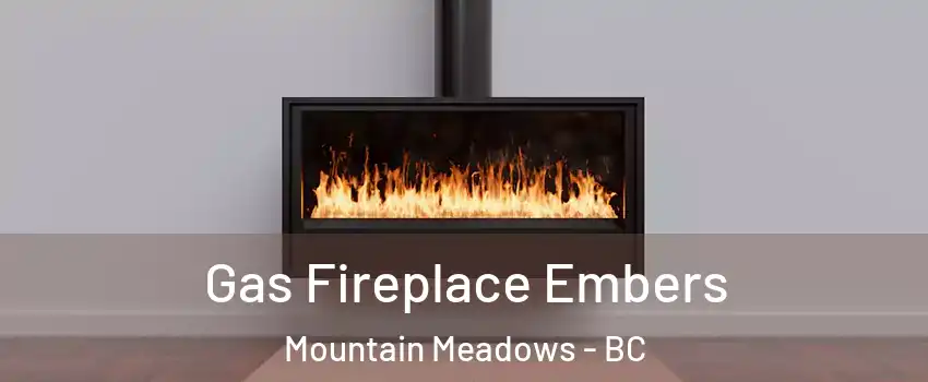  Gas Fireplace Embers Mountain Meadows - BC
