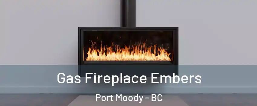  Gas Fireplace Embers Port Moody - BC
