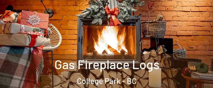  Gas Fireplace Logs College Park - BC