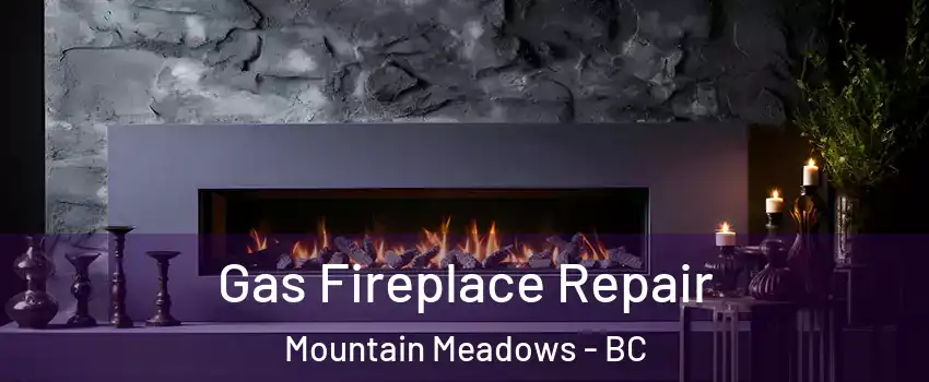  Gas Fireplace Repair Mountain Meadows - BC