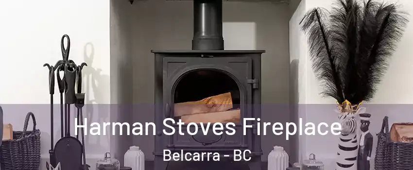  Harman Stoves Fireplace Belcarra - BC