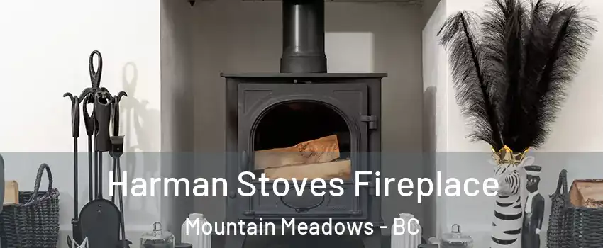  Harman Stoves Fireplace Mountain Meadows - BC