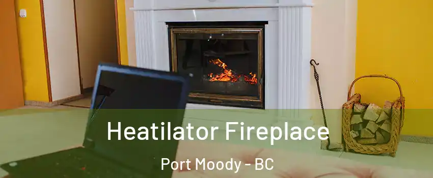  Heatilator Fireplace Port Moody - BC