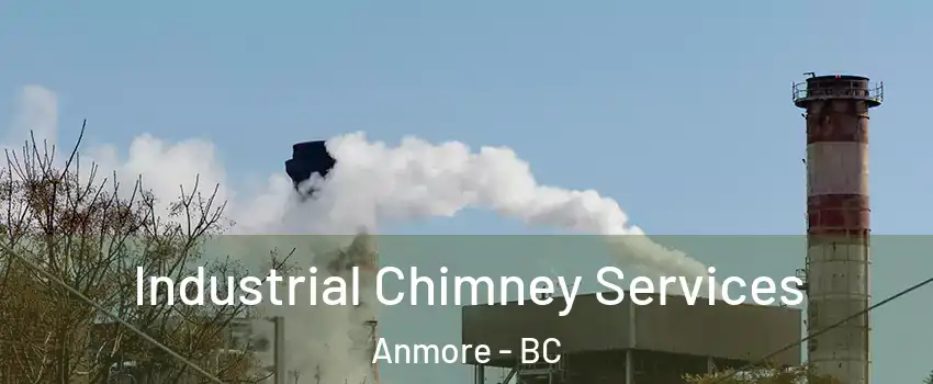  Industrial Chimney Services Anmore - BC