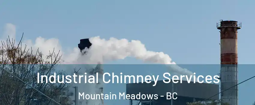  Industrial Chimney Services Mountain Meadows - BC