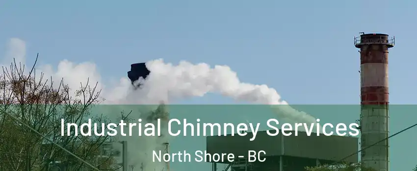  Industrial Chimney Services North Shore - BC