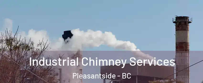  Industrial Chimney Services Pleasantside - BC