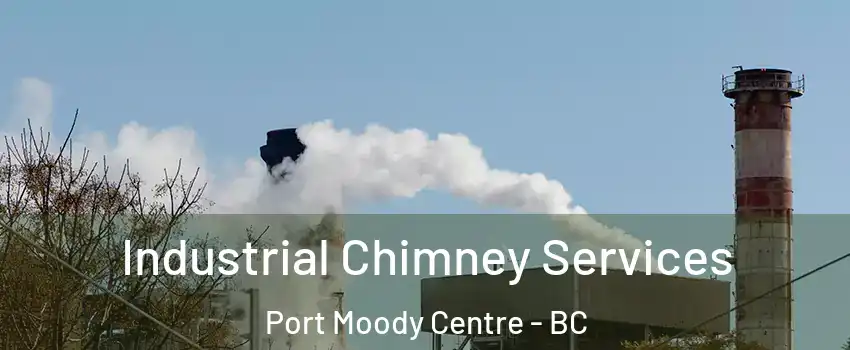  Industrial Chimney Services Port Moody Centre - BC