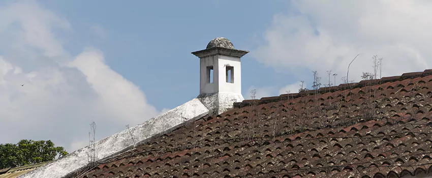 Wind-Resistant Chimney Caps Installation and Repair Services in Port Moody, British Columbia