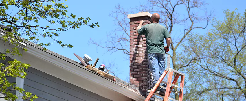 Chimney And Flue Brush Cleaning in Port Moody, British Columbia