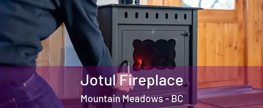  Jotul Fireplace Mountain Meadows - BC