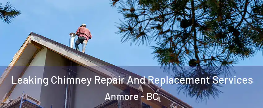  Leaking Chimney Repair And Replacement Services Anmore - BC