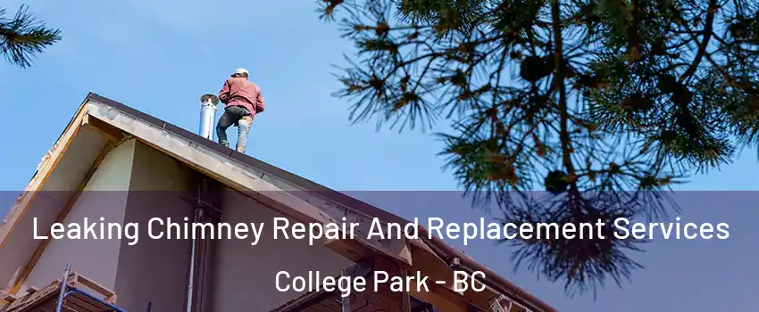 Leaking Chimney Repair And Replacement Services College Park - BC