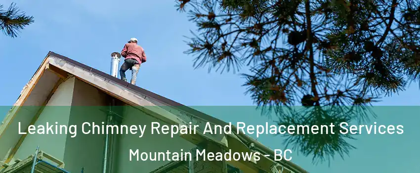  Leaking Chimney Repair And Replacement Services Mountain Meadows - BC