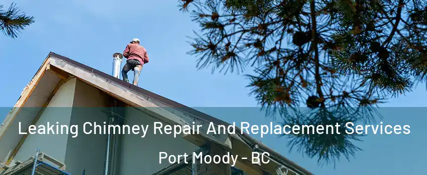  Leaking Chimney Repair And Replacement Services Port Moody - BC