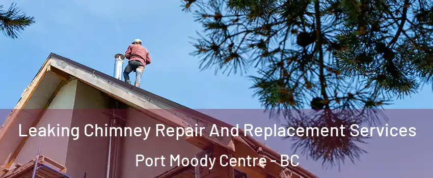 Leaking Chimney Repair And Replacement Services Port Moody Centre - BC