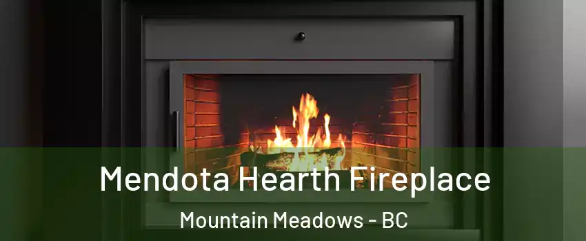  Mendota Hearth Fireplace Mountain Meadows - BC