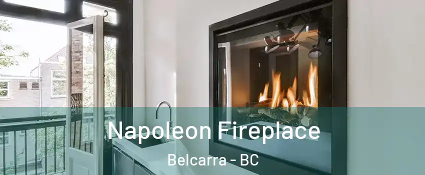  Napoleon Fireplace Belcarra - BC