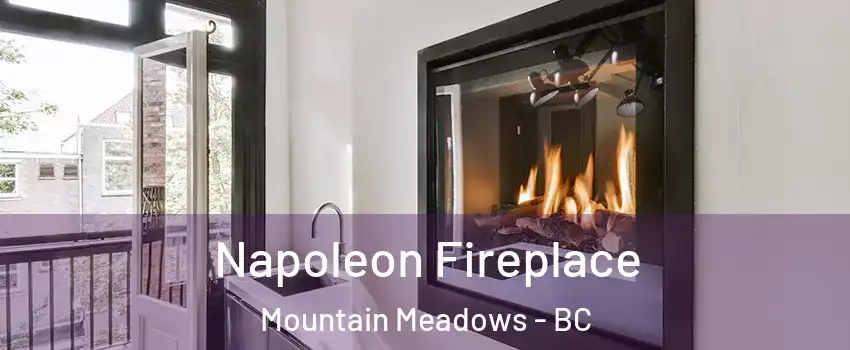  Napoleon Fireplace Mountain Meadows - BC