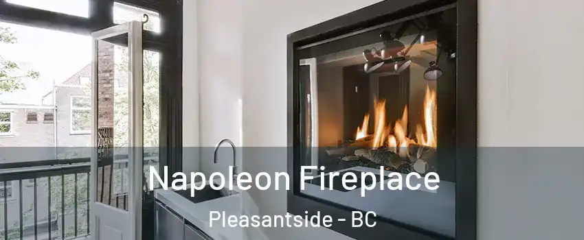  Napoleon Fireplace Pleasantside - BC