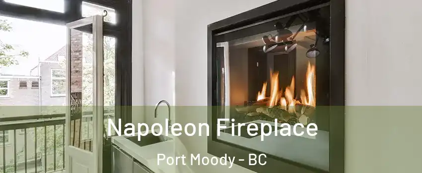  Napoleon Fireplace Port Moody - BC