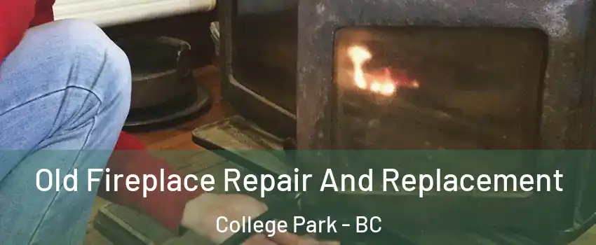  Old Fireplace Repair And Replacement College Park - BC