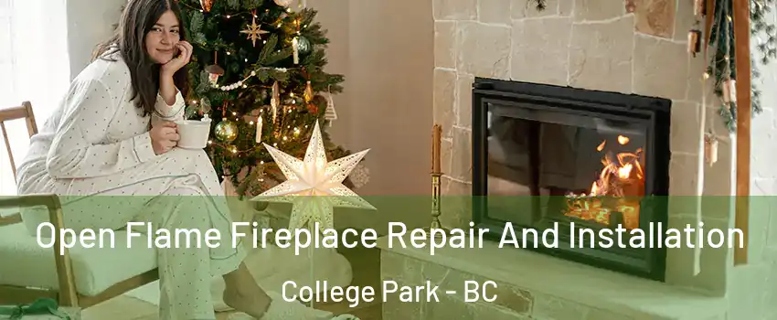  Open Flame Fireplace Repair And Installation College Park - BC
