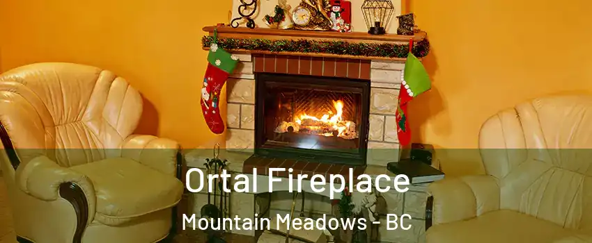  Ortal Fireplace Mountain Meadows - BC