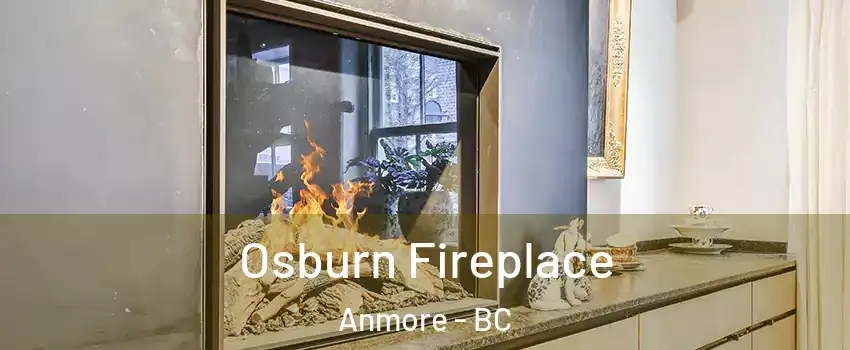  Osburn Fireplace Anmore - BC