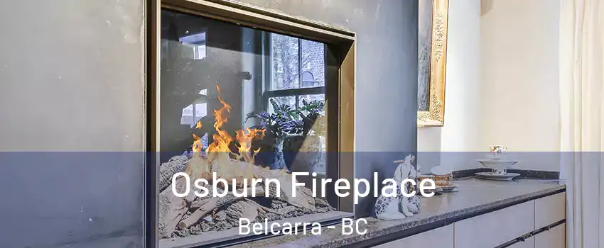  Osburn Fireplace Belcarra - BC