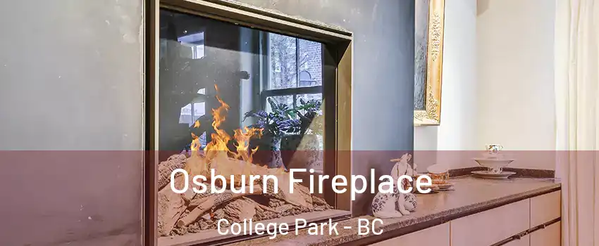  Osburn Fireplace College Park - BC