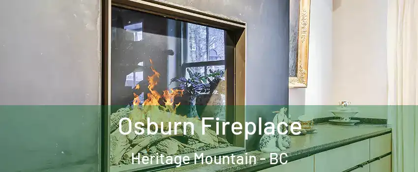  Osburn Fireplace Heritage Mountain - BC