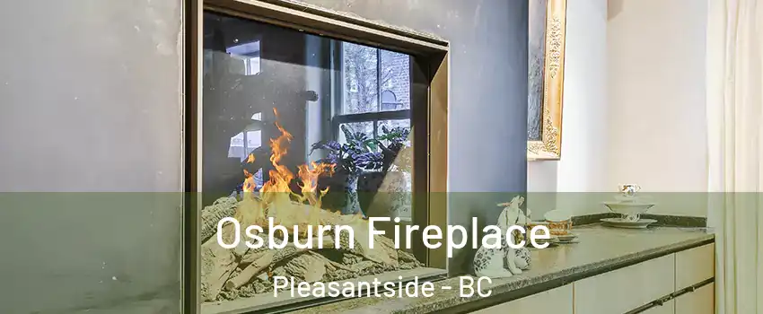  Osburn Fireplace Pleasantside - BC