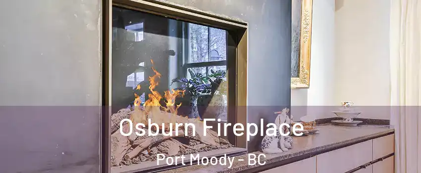  Osburn Fireplace Port Moody - BC