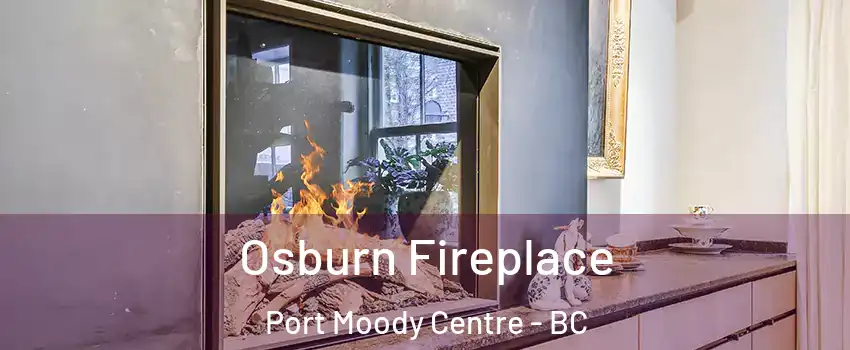  Osburn Fireplace Port Moody Centre - BC