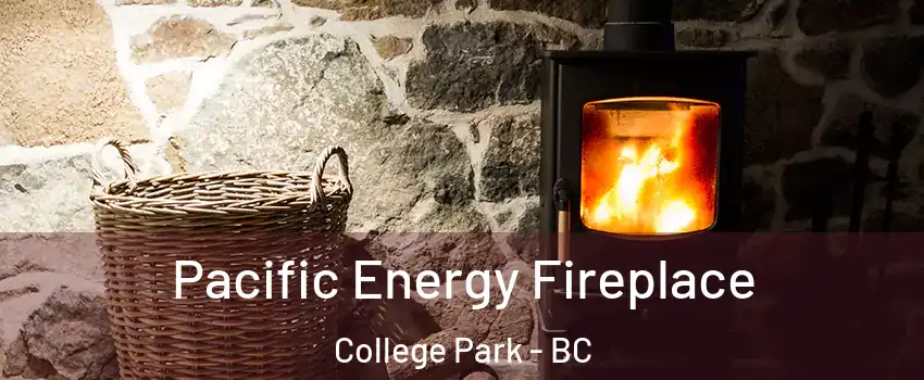  Pacific Energy Fireplace College Park - BC