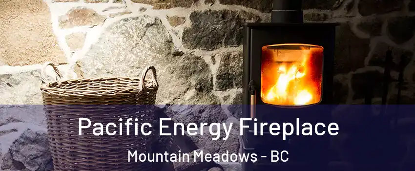  Pacific Energy Fireplace Mountain Meadows - BC