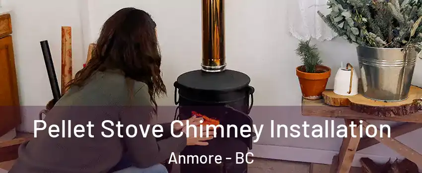  Pellet Stove Chimney Installation Anmore - BC
