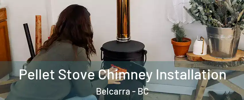 Pellet Stove Chimney Installation Belcarra - BC